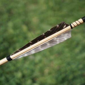 a-detailed-view-of-a-traditional-arrow-with-feather-fletching-against-a-blurred-green-background